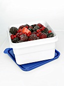 Frozen berries in a plastic box