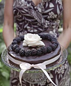 Chocolate cake topped with blackberries