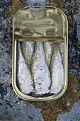 Sardines in a tin