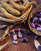 Purple beans and pods in small baskets