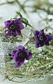 Tischgesteck mit lila Anemonen-Blüten