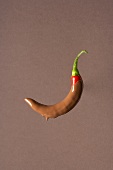 A chocolate-dipped chilli