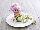 Boiled eggs, salt and posy of blossom on plate