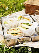 Assorted sandwiches for a picnic