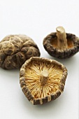 Three dried shiitake mushrooms