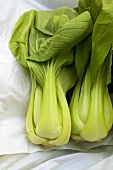 Pak choi