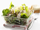 Mixed salad leaves with chicken breast