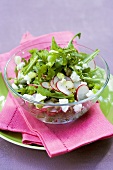 Rocket salad with radishes and sheep's cheese