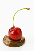A cherry on a blob of chocolate sauce