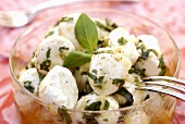 Marinated mozzarella balls with basil