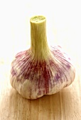 A pink garlic bulb