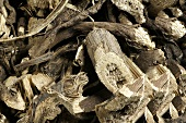 A heap of kava-kava root (Piper methysticum)
