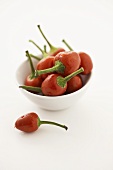 Red chillies in a small bowl