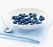 Natural yoghurt with blueberries