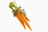 Three young carrots