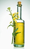 Eine Flasche Rapsöl mit Blüten