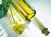 A bottle of rapeseed oil lying on its side, with flower