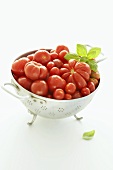 Mixed tomatoes in a colander