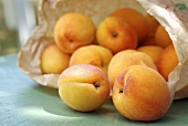 Apricots falling out of a paper bag