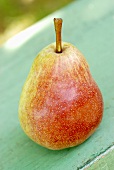 A pear, variety 'Williams Rose'
