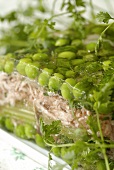 Rabbit and peas in aspic