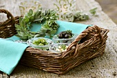 Antipasti and wreath of sage and wormwood in a basket