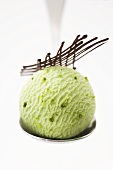 A scoop of pistachio ice cream on a spoon