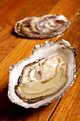 An opened oyster