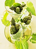 Rice paper rolls filled with green asparagus