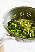 Peas, spring onions and sage in a colander