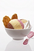 Two scoops of Neapolitan ice cream with cream in small bowl