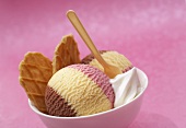 Neapolitan ice cream with cream