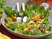 Bunter Salat mit Prosciutto