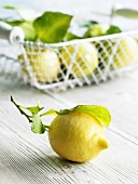 Eine Zitrone, dahinter Zitronen im Drahtkorb