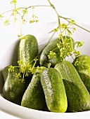 Gherkins with dill flowers in a dish