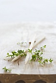 Fresh thyme on a wooden board
