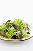 Mixed salad leaves with edible flowers