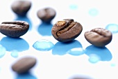 Coffee beans with drops of water