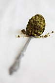 Mole verde spice mixture on a spoon