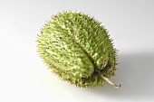 An exotic fruit (guanabana)