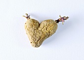 An old, heart-shaped potato
