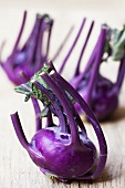 Purple kohlrabi