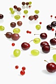 Cherries, redcurrents and green grapes