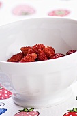 A bowl of alpine strawberries