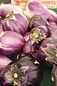 Aubergines at the market