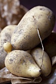 Potatoes (variety: Charlotte)
