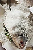 Pompano (Jack fish) being prepared for a salt crust