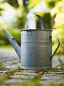 A watering can on a garden path