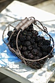 Blackberries in a wire basket