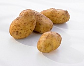 Red Pontiac and Yukon Gold Potatoes in a Bowl 